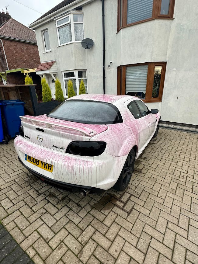 Mobile Exterior Decontamination Wash