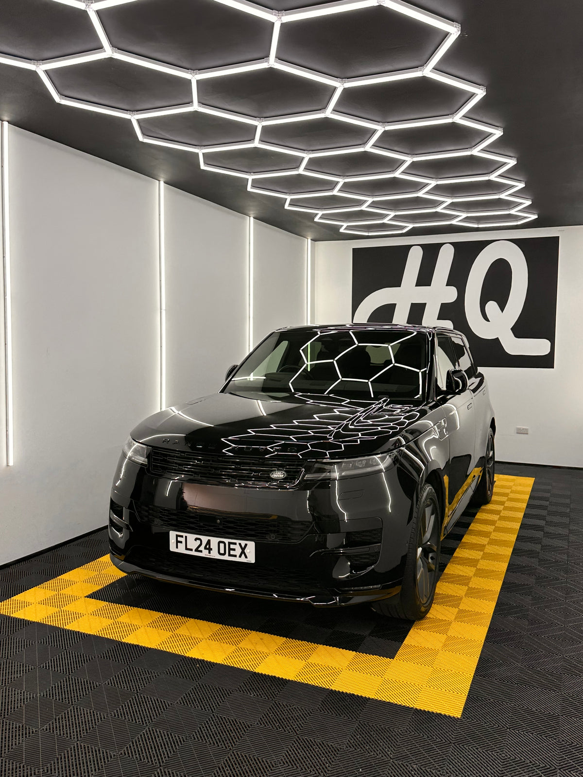 Paint Enhancement Detail