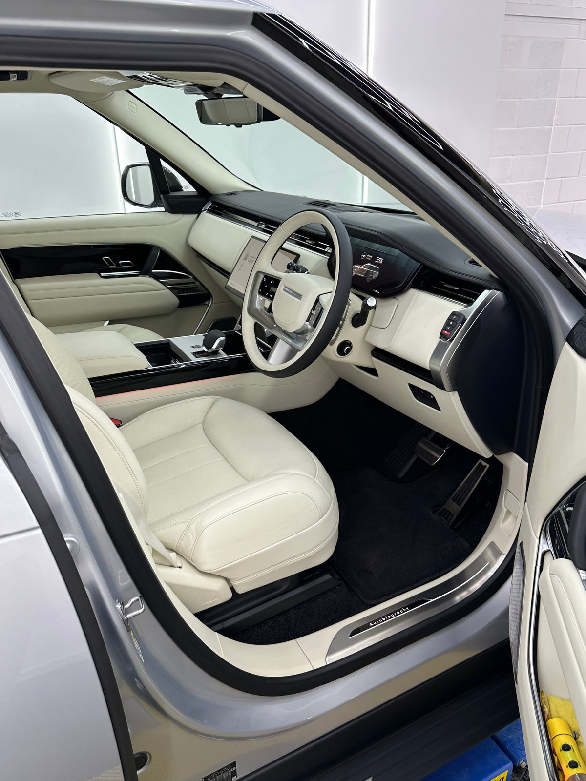 New Car Detail