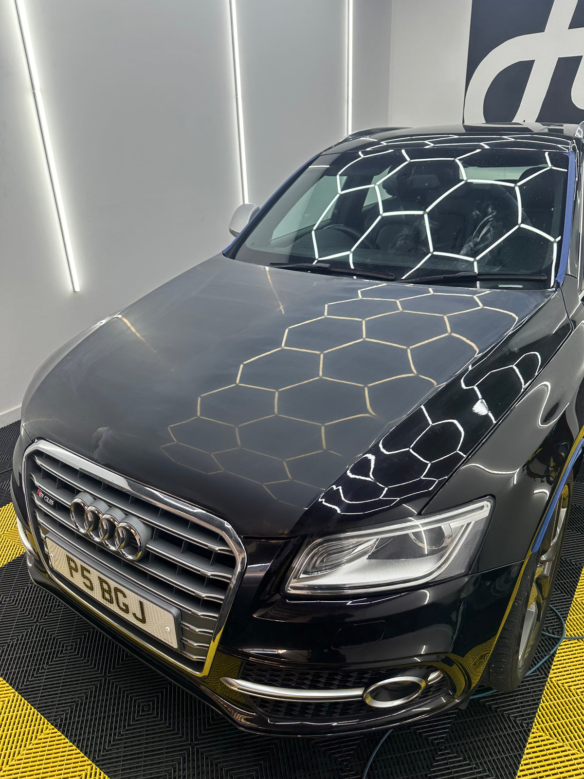 Paint Revival & Wet Sanding Detail