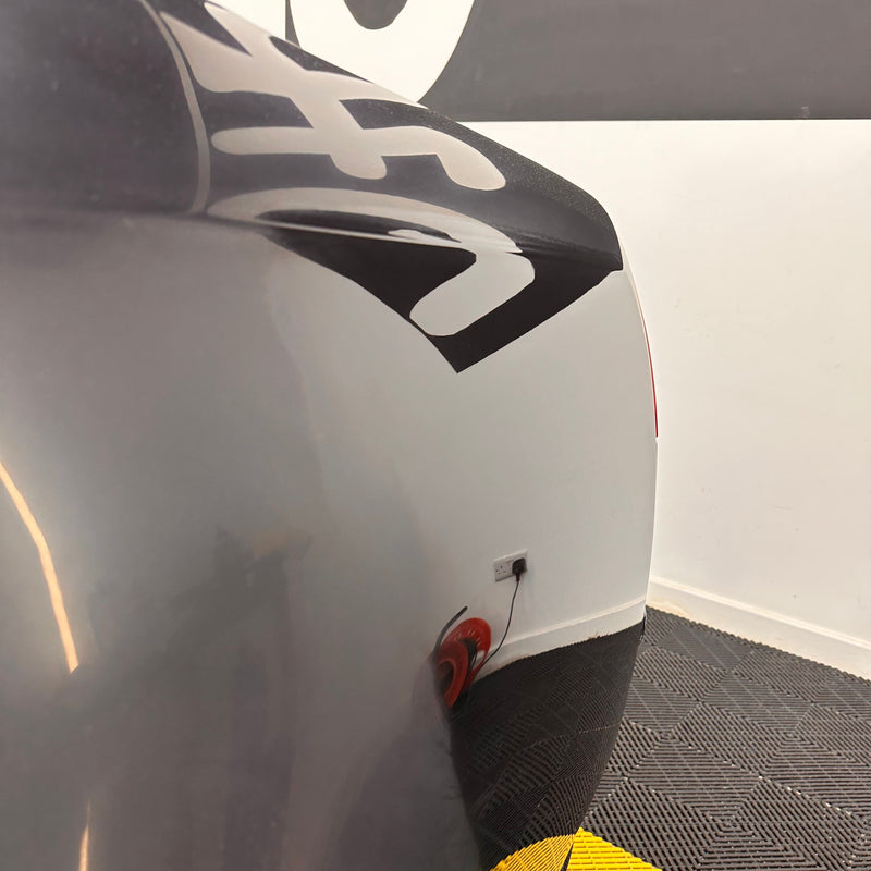 Paint Revival & Wet Sanding Detail
