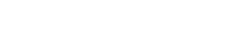Feynlab